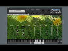 Load and play video in Gallery viewer, Europe bundle