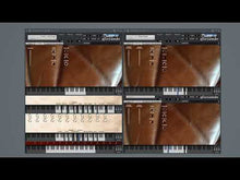 Load and play video in Gallery viewer, Strange String Summer