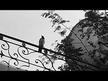 Load and play video in Gallery viewer, Karniszbass