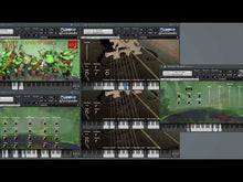 Load and play video in Gallery viewer, Fourth Tagelharpa