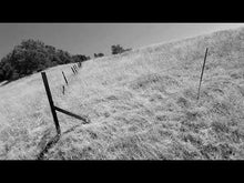 Load and play video in Gallery viewer, Karniszbass