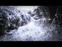 Load and play video in Gallery viewer, Baconwulf