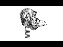 Load and play video in Gallery viewer, Baconwulf