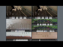 Load and play video in Gallery viewer, Fourth Tagelharpa