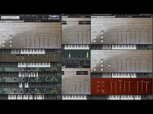 Load and play video in Gallery viewer, Surfkiss