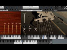 Load and play video in Gallery viewer, Fourth Tagelharpa