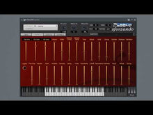 Load and play video in Gallery viewer, Vengeful Cello