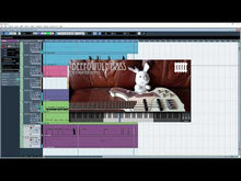 Load and play video in Gallery viewer, Beefowulf Bass