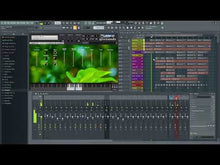 Load and play video in Gallery viewer, Hadzi-Fia