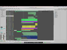 Load and play video in Gallery viewer, Vengeful Viola