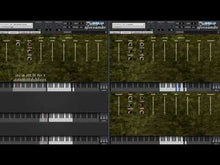 Load and play video in Gallery viewer, Hster