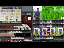 Load and play video in Gallery viewer, Hadzi-Fia