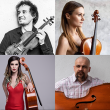 Load image into Gallery viewer, Vengeful Strings bundle