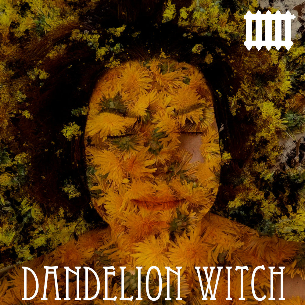 Dandelion Witch