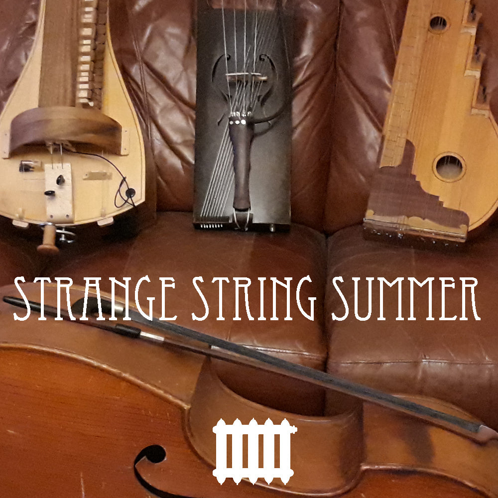 Weird Brown String Strange String Summer β Karoryfer Samples
